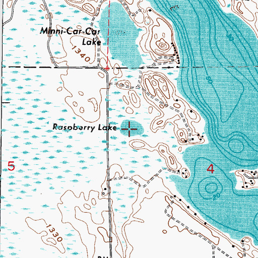 Topographic Map of Raspberry Lake, MN