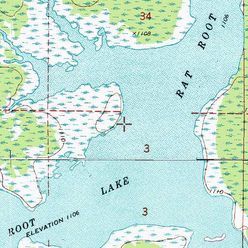 Topographic Map of Rat Root Lake, MN