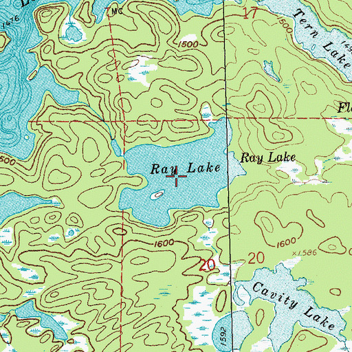 Topographic Map of Ray Lake, MN
