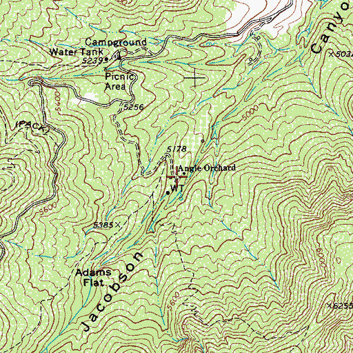 Topographic Map of Angle Orchard, AZ