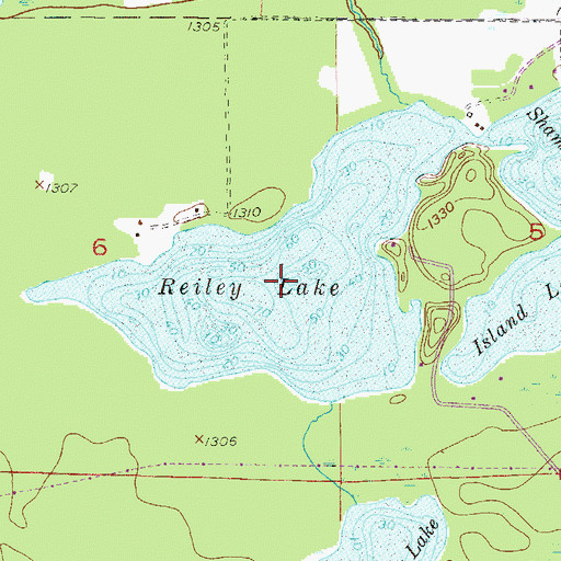 Topographic Map of Reiley Lake, MN