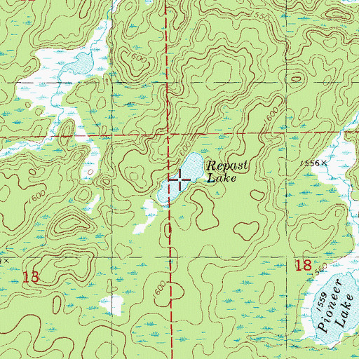 Topographic Map of Repast Lake, MN