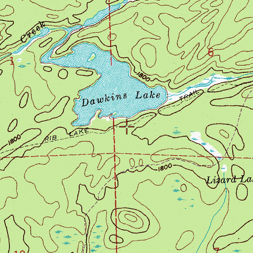 Topographic Map of Rib Lake Trail, MN