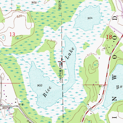 Topographic Map of Rice Lake, MN