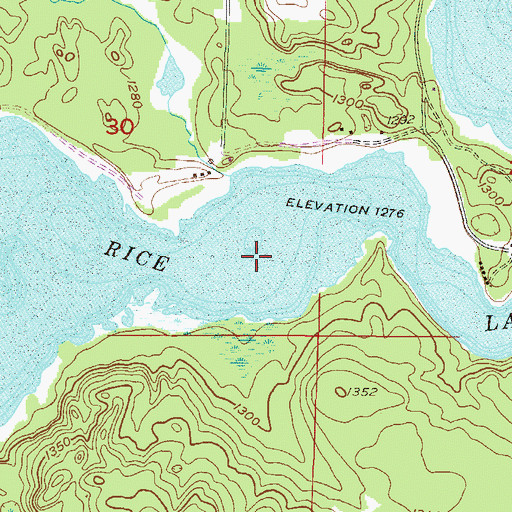 Topographic Map of Rice Lake, MN