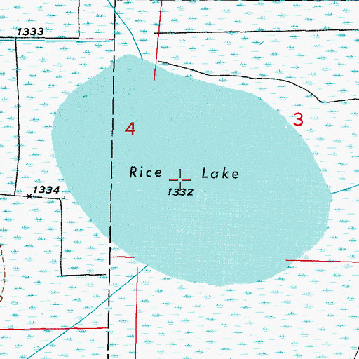 Topographic Map of Rice Lake, MN