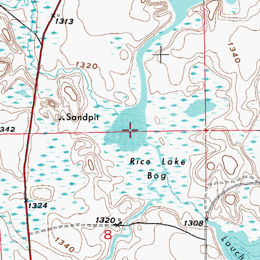 Topographic Map of Rice Lake Bog, MN