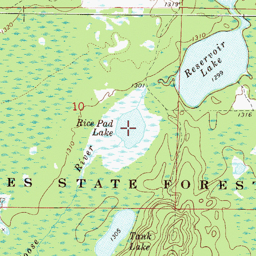 Topographic Map of Rice Pad Lake, MN