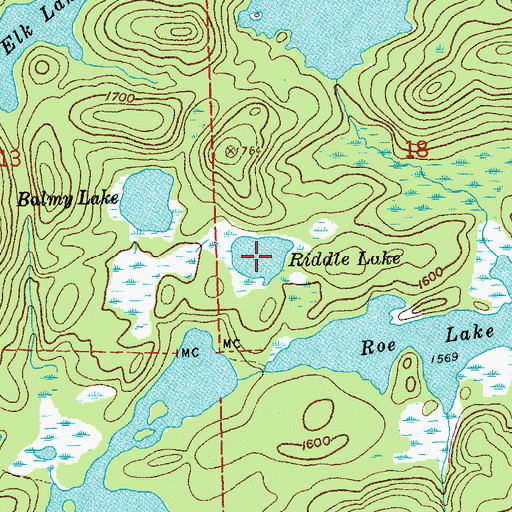 Topographic Map of Riddle Lake, MN