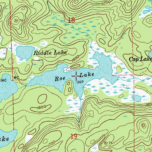 Topographic Map of Roe Lake, MN