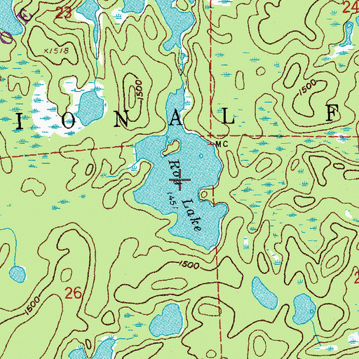Topographic Map of Roy Lake, MN