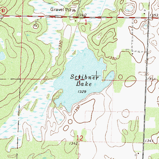 Topographic Map of Scribner Lake, MN