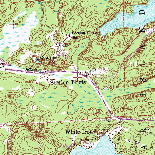 Topographic Map of Section Thirty, MN