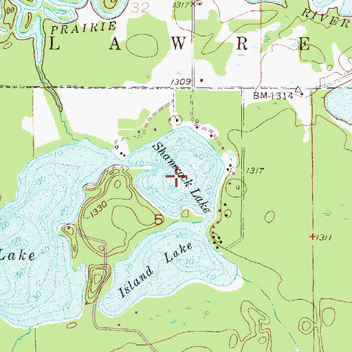 Topographic Map of Shamrock Lake, MN