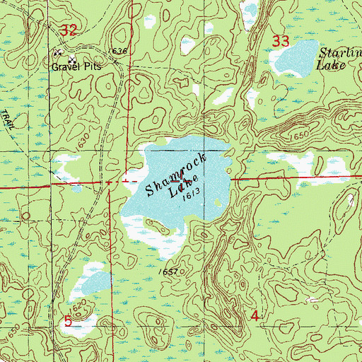 Topographic Map of Shamrock Lake, MN