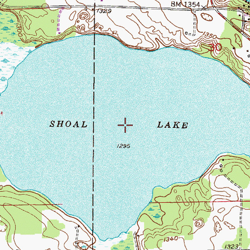 Topographic Map of Shoal Lake, MN