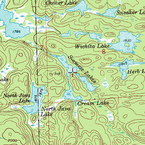 Topographic Map of Siamese Lakes, MN