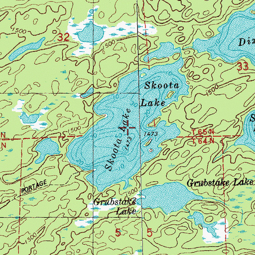 Topographic Map of Skoota Lake, MN