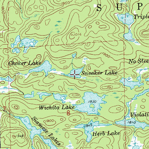 Topographic Map of Sneaker Lake, MN