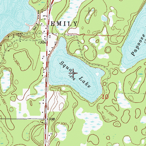 Topographic Map of Little Emily Lake, MN