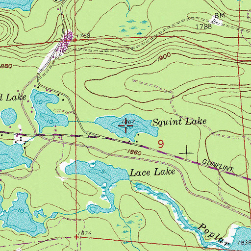 Topographic Map of Squint Lake, MN