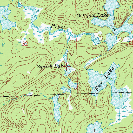 Topographic Map of Squish Lake, MN