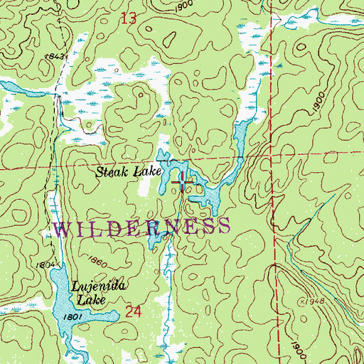 Topographic Map of Steak Lake, MN