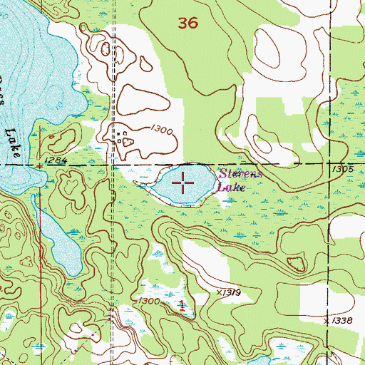 Topographic Map of Stevens Lake, MN