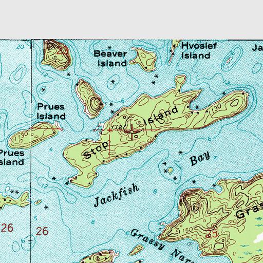 Topographic Map of Stop Island, MN