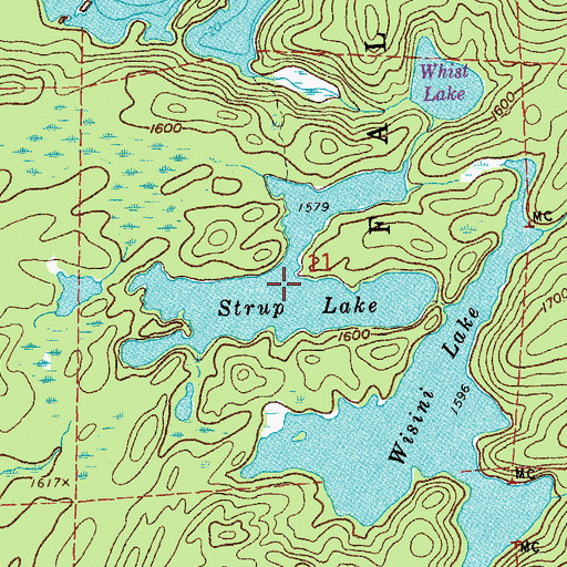 Topographic Map of Strup Lake, MN