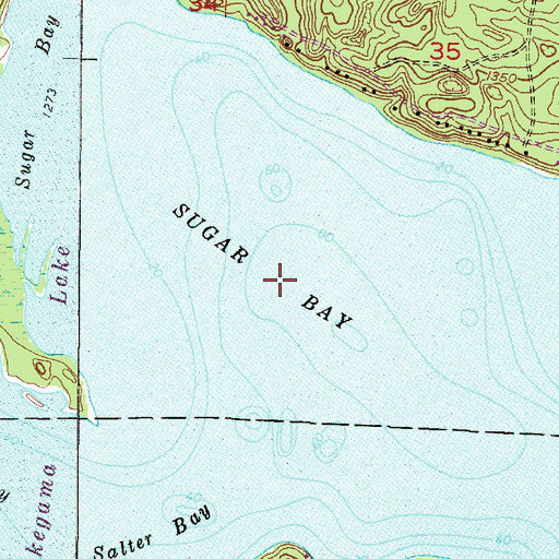 Topographic Map of Sugar Bay, MN