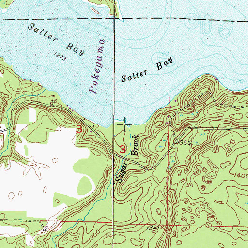 Topographic Map of Sugar Brook, MN