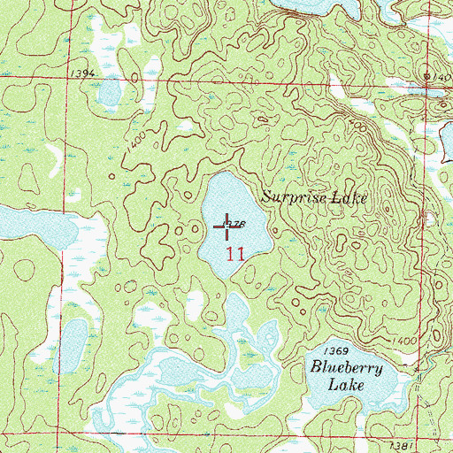 Topographic Map of Surprise Lake, MN