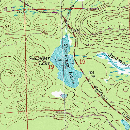 Topographic Map of Swamper Lake, MN