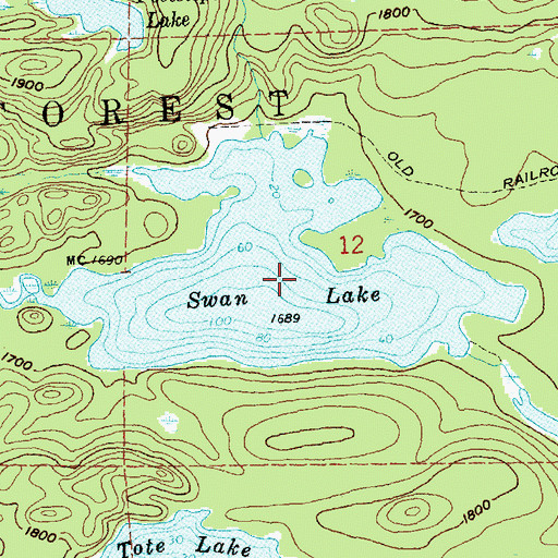 Topographic Map of Swan Lake, MN