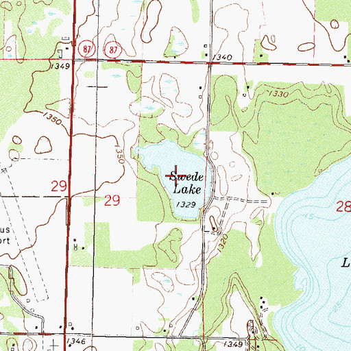 Topographic Map of Swede Lake, MN