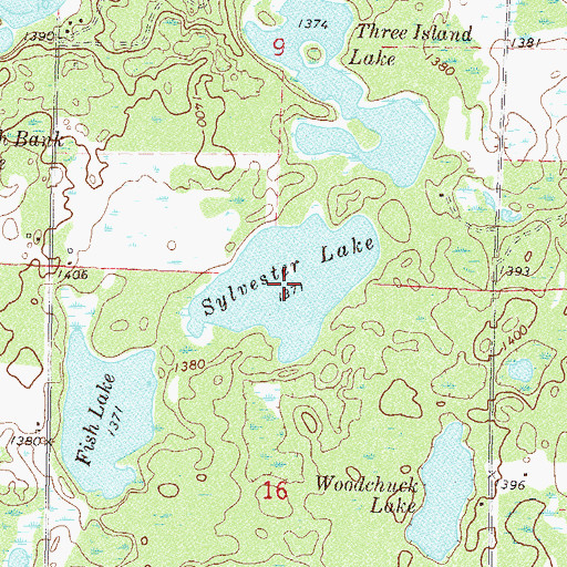 Topographic Map of Sylvester Lake, MN