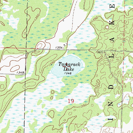 Topographic Map of Tamarack Lake, MN