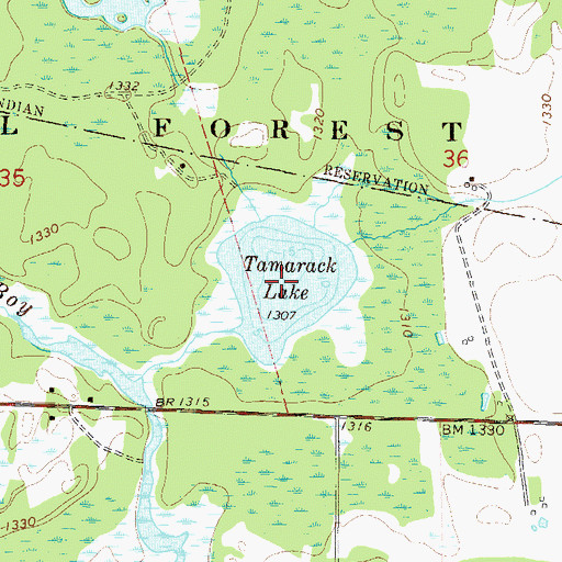 Topographic Map of Tamarack Lake, MN