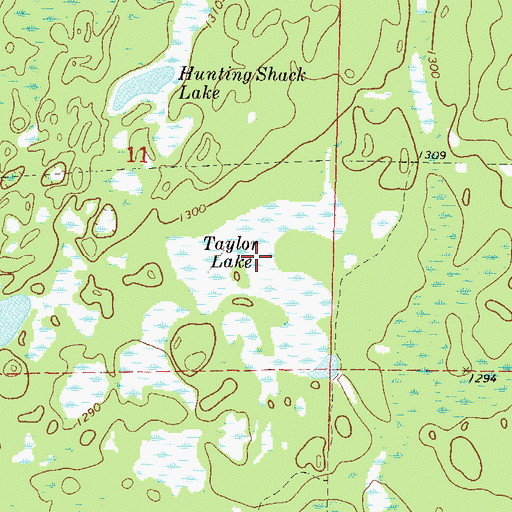 Topographic Map of Taylor Lake, MN