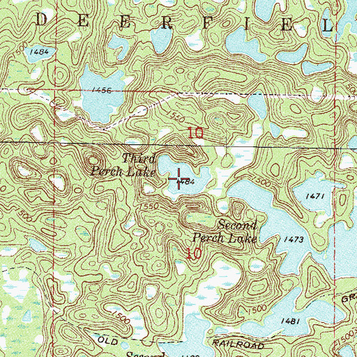 Topographic Map of Third Perch Lake, MN