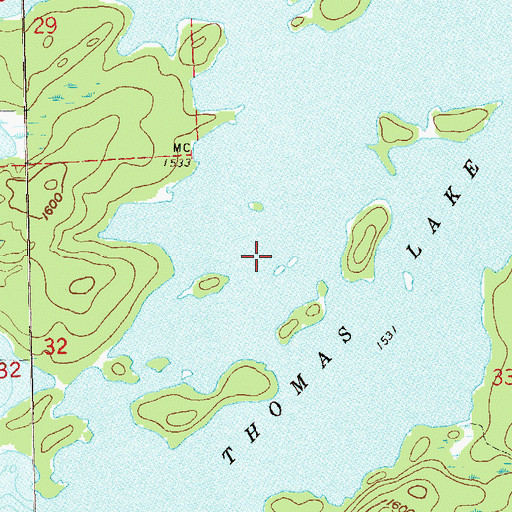 Topographic Map of Thomas Lake, MN
