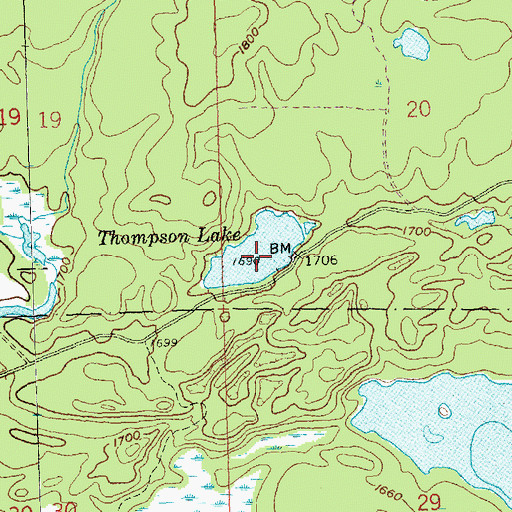 Topographic Map of Thompson Lake, MN