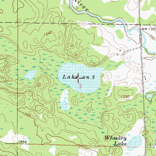 Topographic Map of Lake on Three, MN