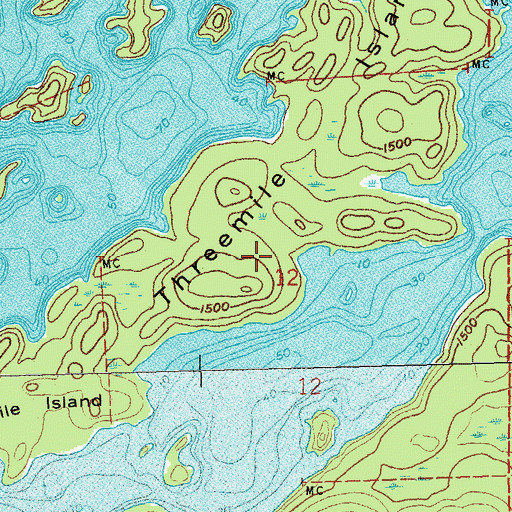 Topographic Map of Threemile Island, MN