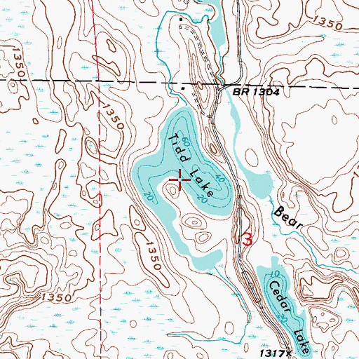 Topographic Map of Tidd Lake, MN