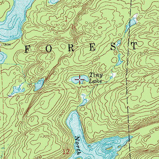 Topographic Map of Tiny Lake, MN