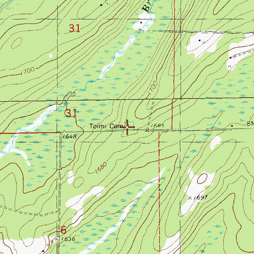 Topographic Map of Toimi Cemetery, MN