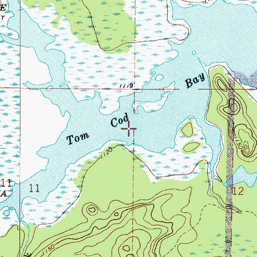 Topographic Map of Tom Cod Bay, MN