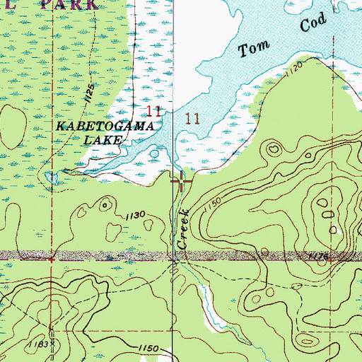 Topographic Map of Tom Cod Creek, MN